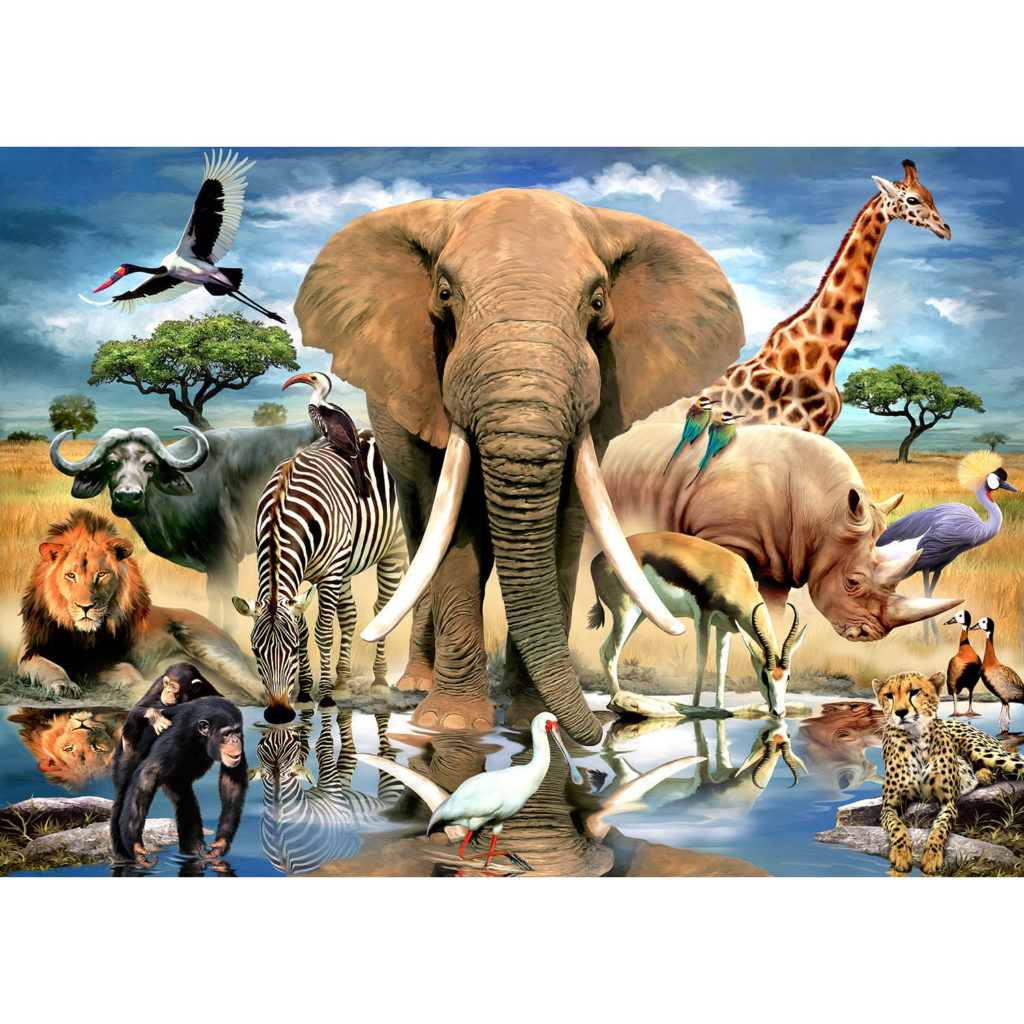 African Oasis 80pc - RGS Group